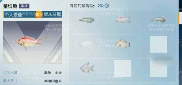 吃鸡绿洲世界垂钓等级怎么升级_吃鸡绿洲世界垂钓等级升级教程