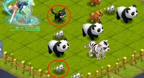 梦幻西游网页版守卫仙境怎么玩攻略