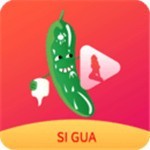 红桃影视软件下载入口