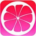 夜色app手机版下载安装